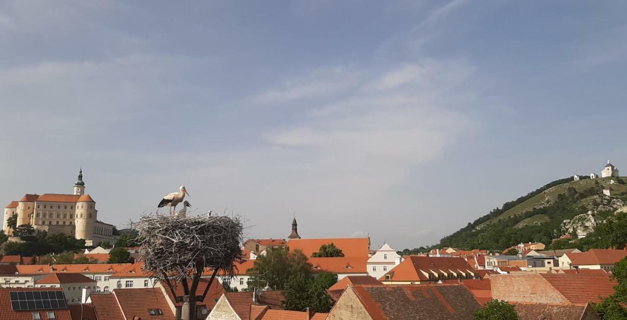 Penzion Cap Mikulov Exterior photo