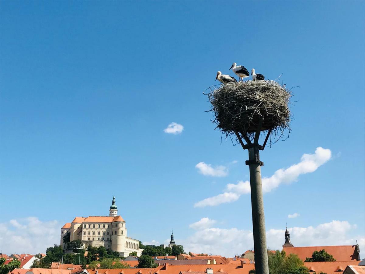 Penzion Cap Mikulov Exterior photo